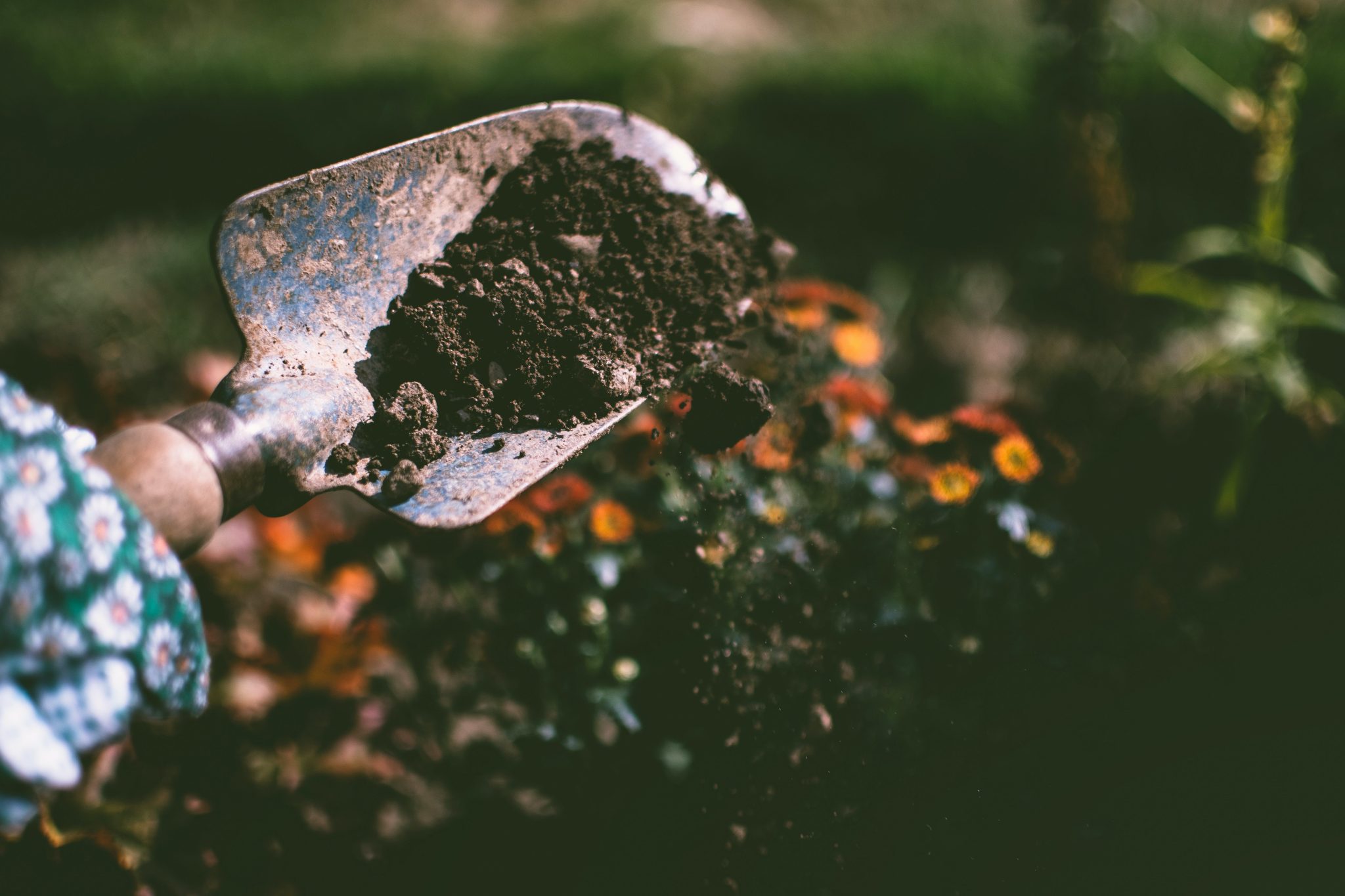 Unveiling the Secrets Beneath: Osten’s Advanced Soil Analysis Services